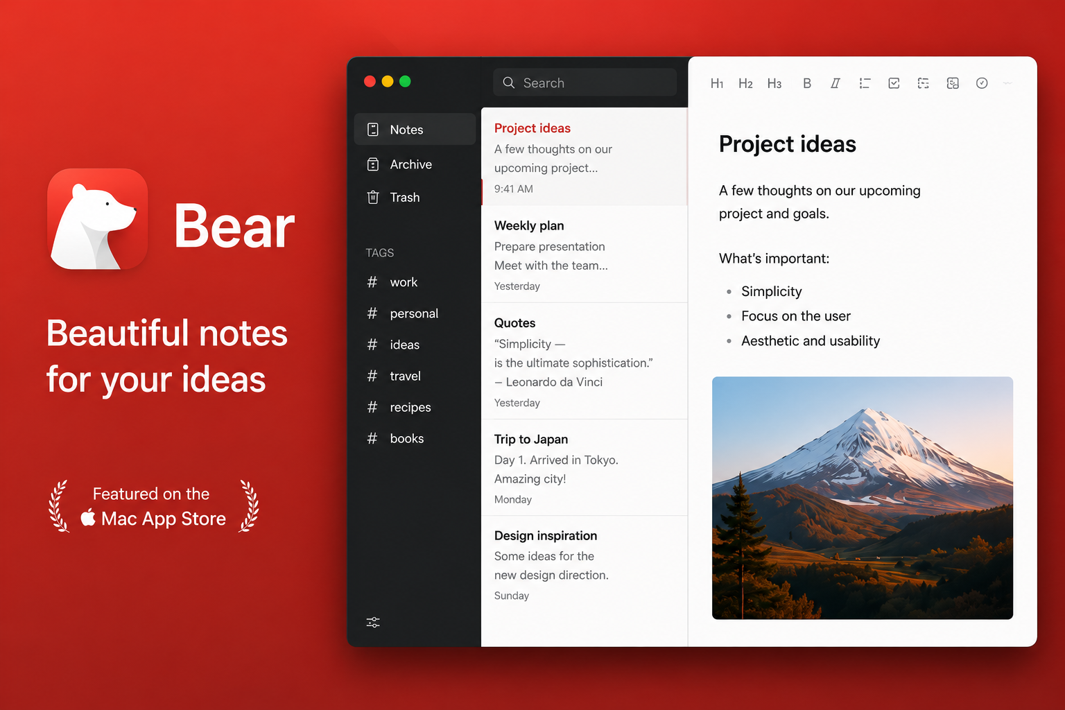 Bear screenshot 1